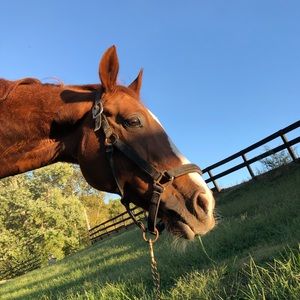 Meet your Posher, Briana